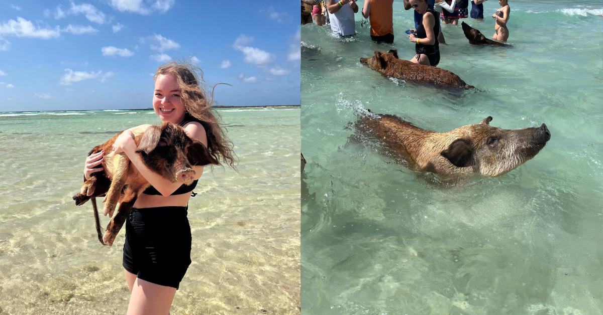 Swimming with the pigs on Grand Bahama Island